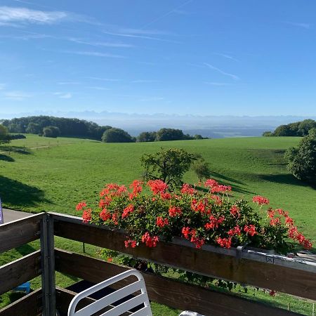Hotel Restaurant Alpenblick Wolfisberg Εξωτερικό φωτογραφία